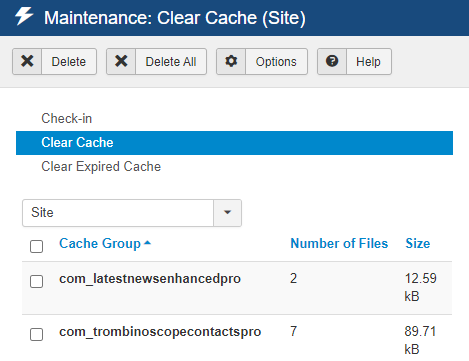 The Joomla 3 cache page